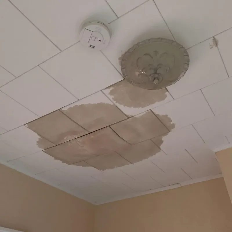 Ceiling Water Damage Repair in Mount Pleasant, PA