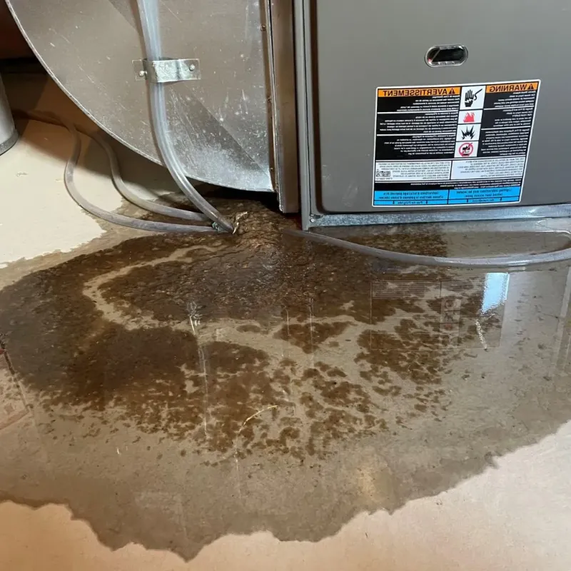 Pipe Burst and Leak Restoration in Mount Pleasant, PA