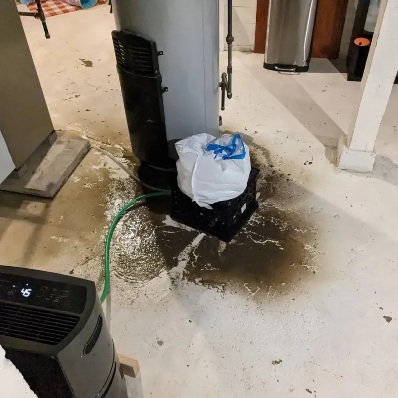 Sewage Backup Cleanup Service in Mount Pleasant, PA